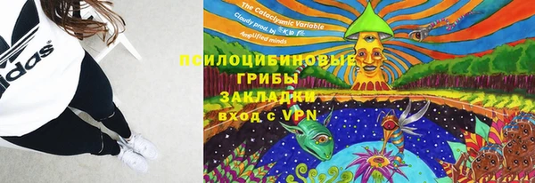 прущие крисы Баксан