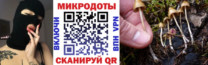 Галлюциногенные грибы ЛСД  даркнет какой сайт  Бирск 